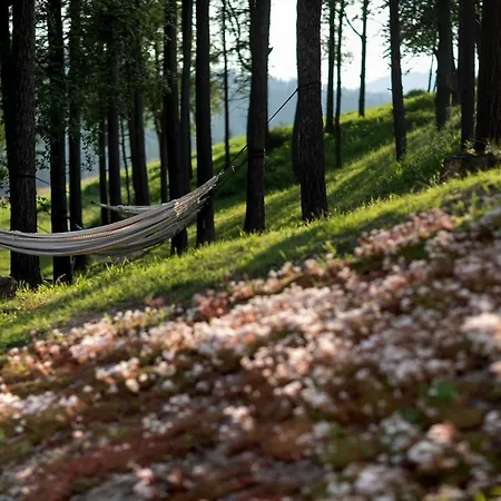 Harnas Dla Doroslych Z Widokiem Na Tatry - Adults Only 4* بوكافينا تترايسكا