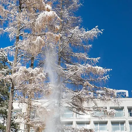 Harnas Dla Doroslych Z Widokiem Na Tatry - Adults Only Bukowina Tatrzańska
