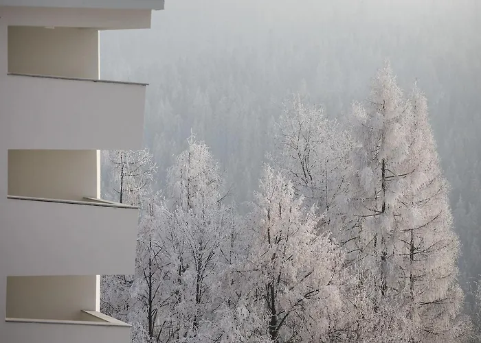 Harnas Dla Doroslych Z Widokiem Na Tatry - Adults Only 4*